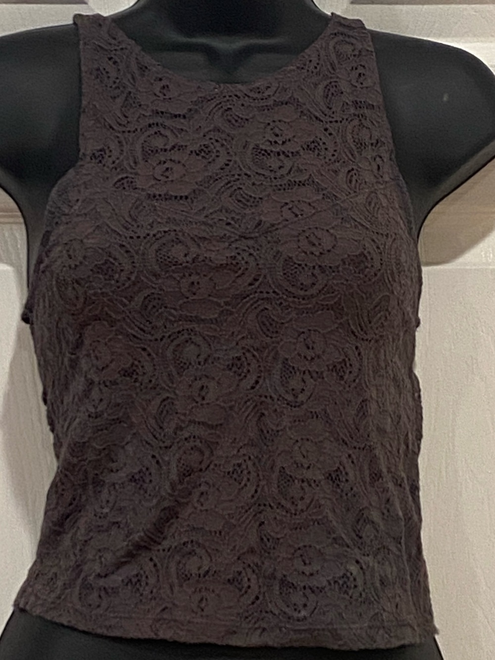 American Eagle "Soft & Sexy" Lace Crop Top
